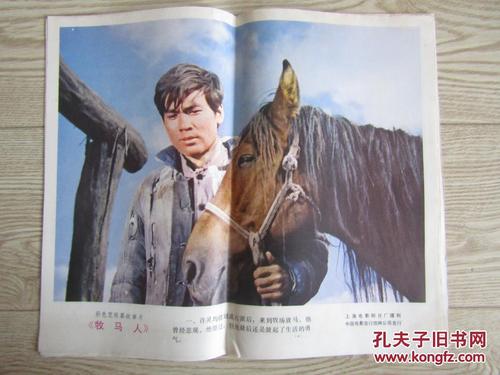 东密歇根大学graduation certificate